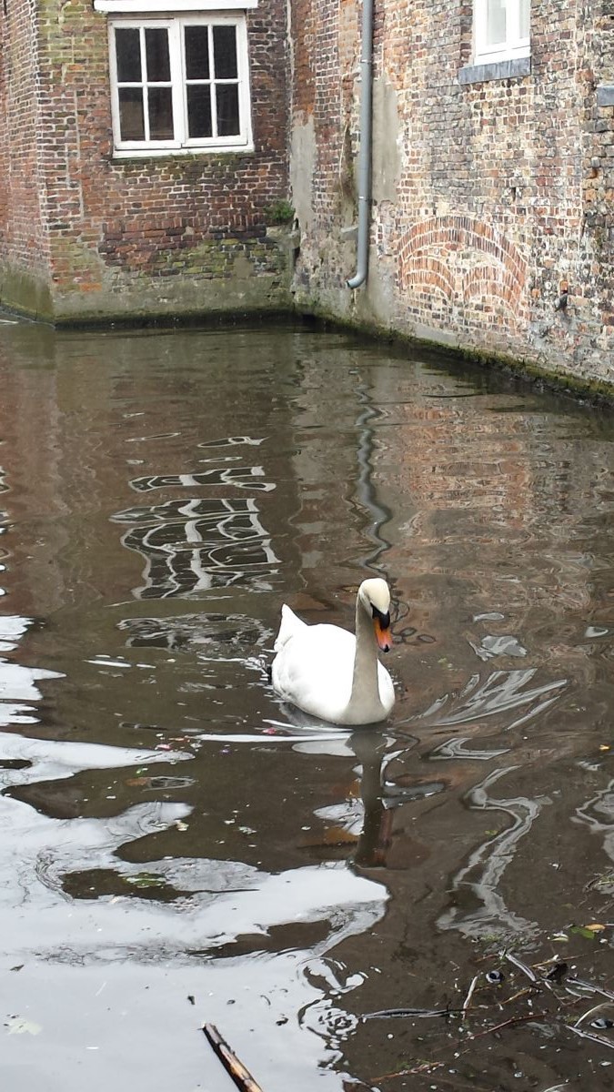 bruges