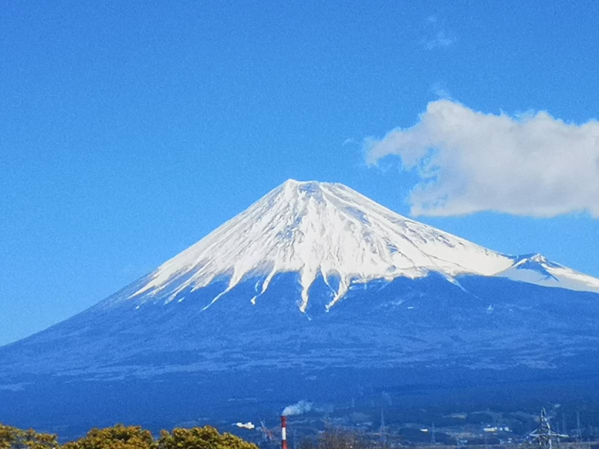 Majestic Mount Fuji Majestic Mount Fuji