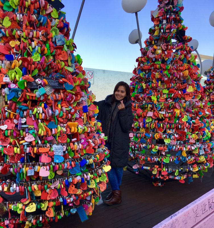 Love locks trees Love locks trees